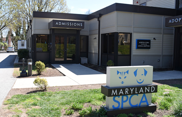 The Maryland SPCA's Morton Gorn Center for Animal Adoption