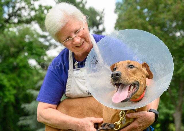 SPCA-2683