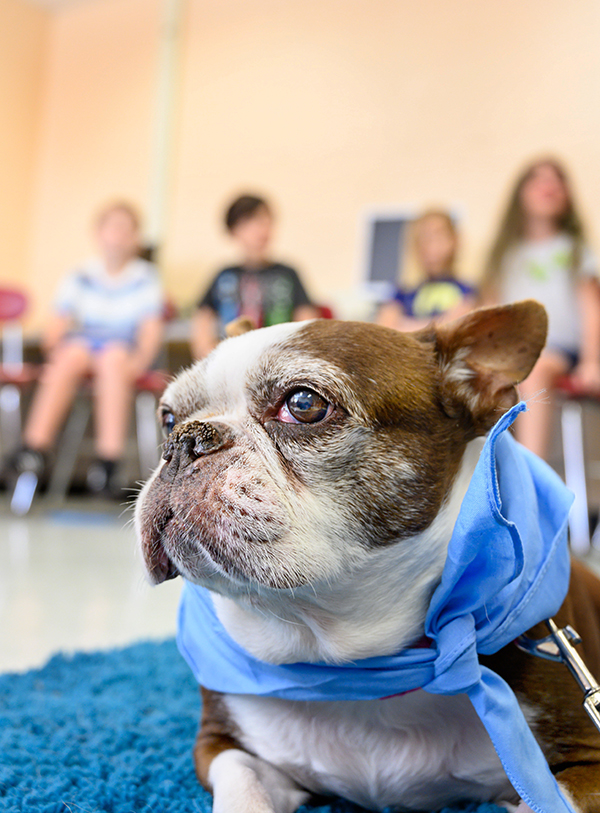 SPCA-5392HiRes