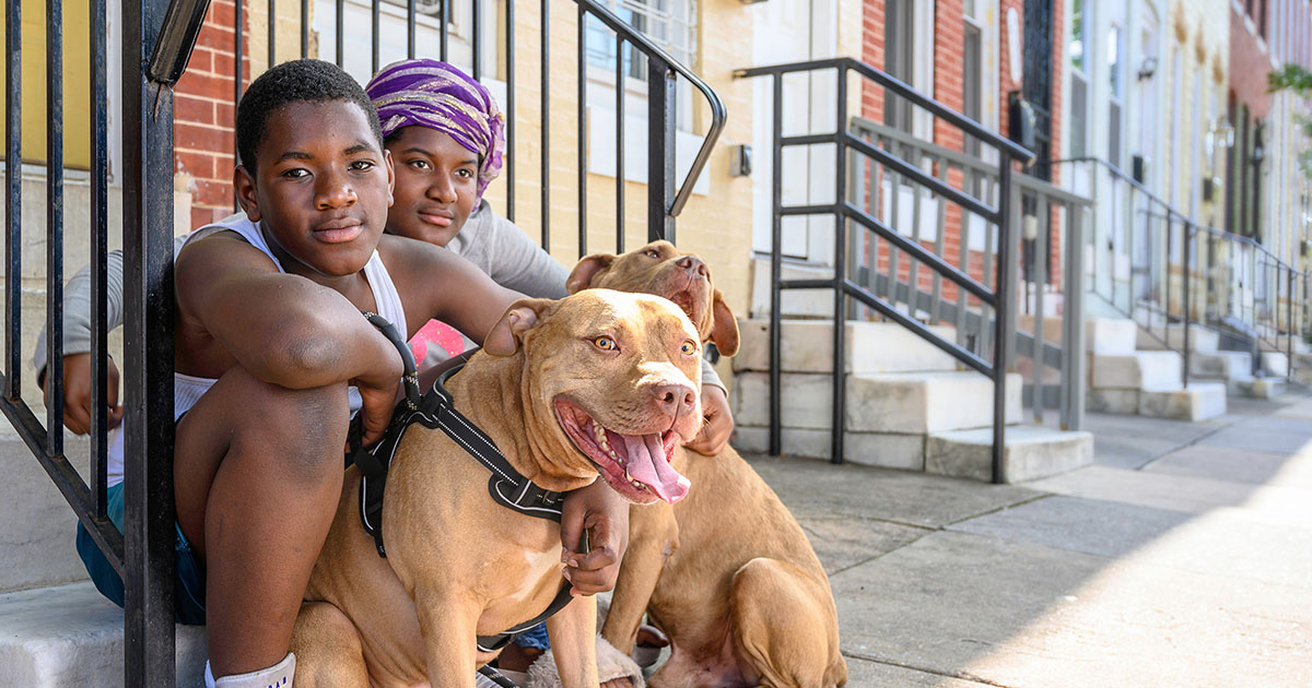 Maryland SPCA Helping Animals in Baltimore