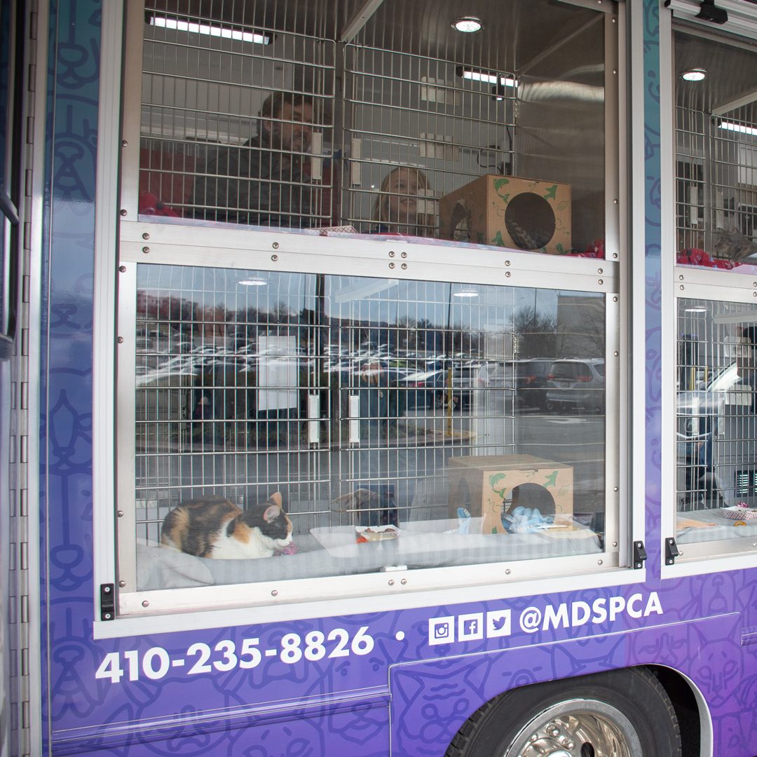 The Maryland SPCA's mobile adoption van