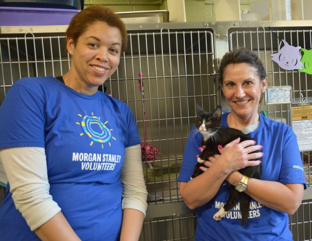 Morgan Stanley staff volunteer at the Maryland SPCA