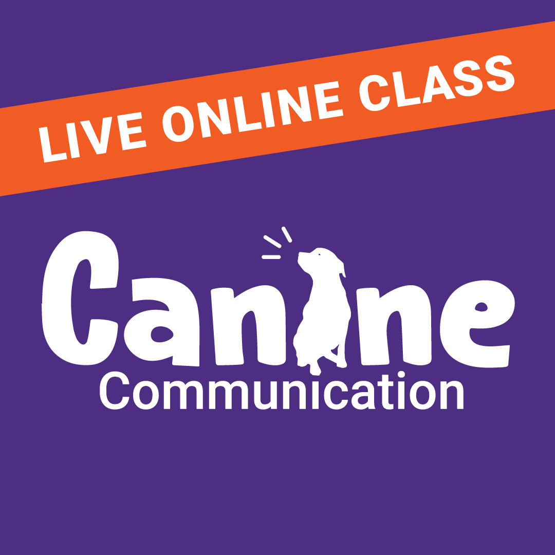 Canine Communication training class at the Maryland SPCA