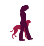 Behavior training for homeless animals Behavior training for homeless animals