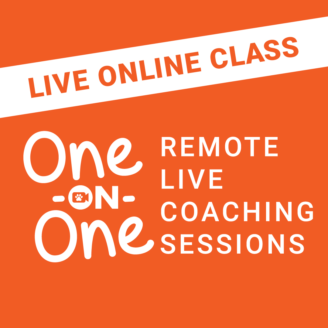 One-On-One Remote Live Coaching Sessions