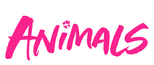 Festival for the Animals Festival for the Animals