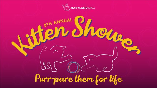 8th Annual Kitten Shower banner.