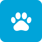 PAWliday Icon - Activities