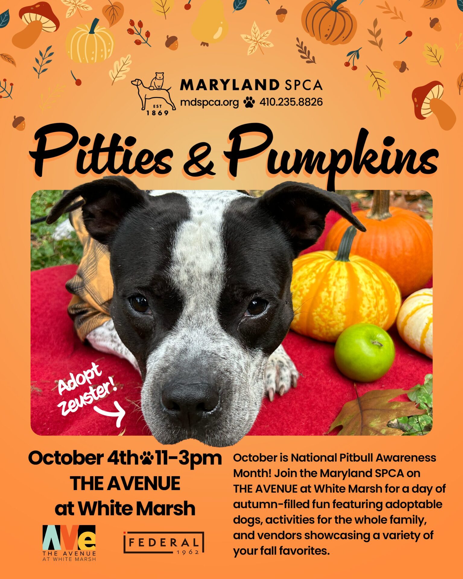 Pitties-&-Pumpkins-2025-social